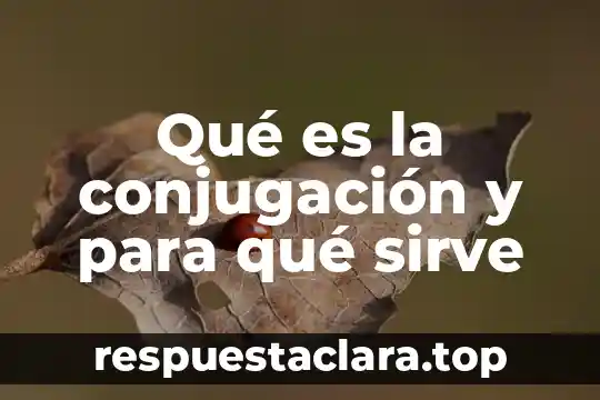 Para qué sirve y qué es la Guardia Nacional significado 6 Qué es la conjugación y para qué sirve