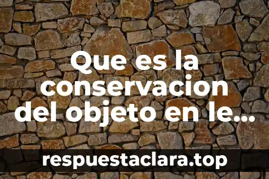 Que es la conservacion del objeto en le subestadio tres