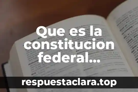 Que es la constitucion federal concepto