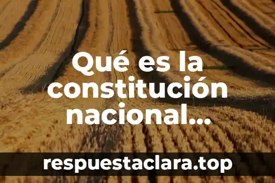 Qué es la constitución nacional argentina resumen