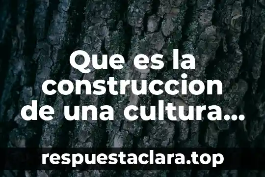 Que es la construccion de una cultura de colaboracion