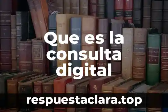 Que es la consulta digital