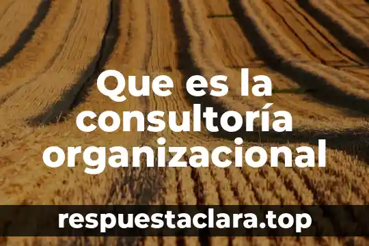 Que es la consultoría organizacional