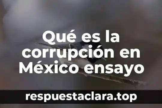 Ensayo que es el sistema de vídeo compuesto 6 Qué es la corrupción en México ensayo