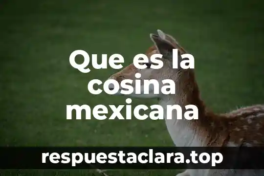 Que es la cosina mexicana