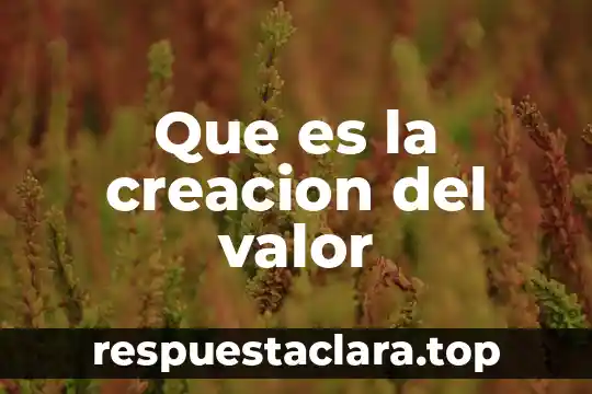 Que es la norma constitucional y proceso de creación 7 Que es la creacion del valor