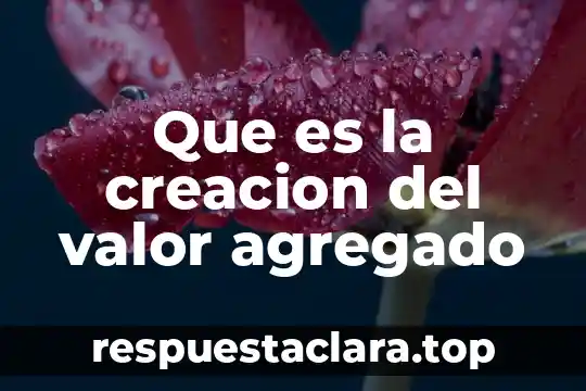 Que es la norma constitucional y proceso de creación 3 Que es la creacion del valor agregado