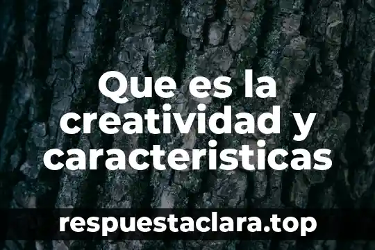 Que es la creatividad y caracteristicas