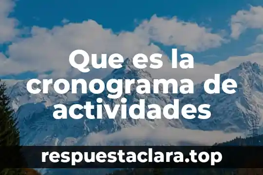 Que es la cronograma de actividades