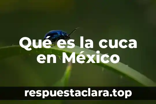Que es s6 y s6 dibujo tecnico 6 Qué es la cuca en México