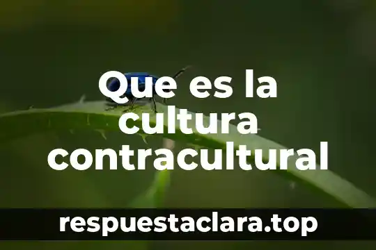 Que es la cultura rupestre 7 Que es la cultura contracultural