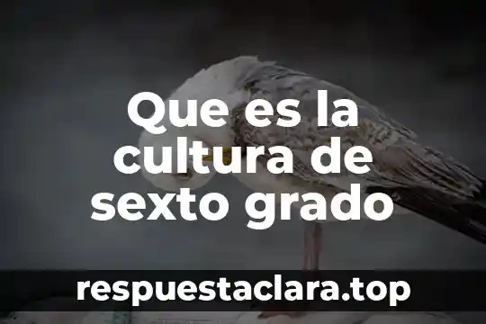 Que es el termino de mayor grado 8 Que es la cultura de sexto grado