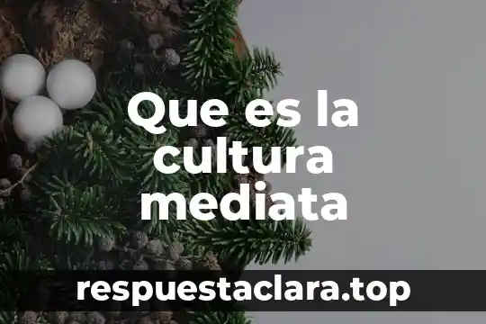 Que es la enseñansa de una cultura 3 Que es la cultura mediata