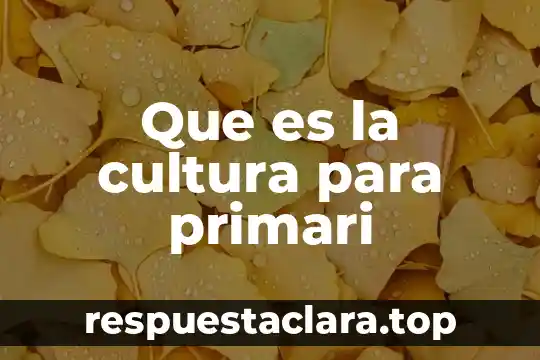 Que es la cultura segun levi strauss 6 Que es la cultura para primari