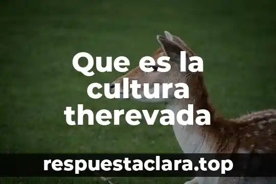 Que es la cultura segun levi strauss 5 Que es la cultura therevada