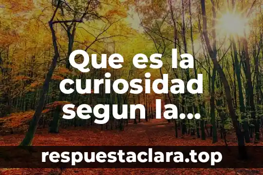 Que es la curiosidad segun la filosofia