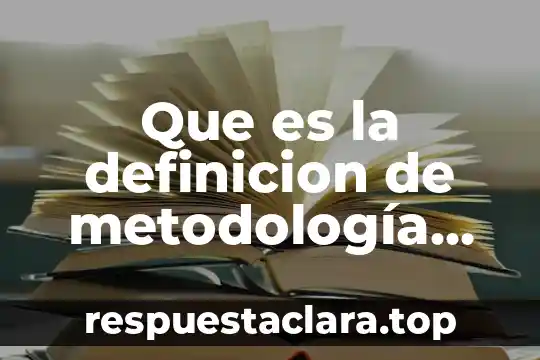 Que es la definicion de metodología usada