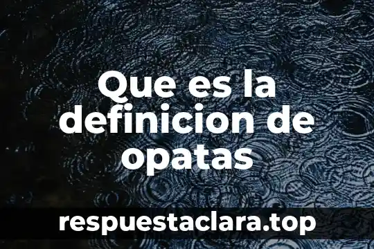 Que es la definicion de opatas