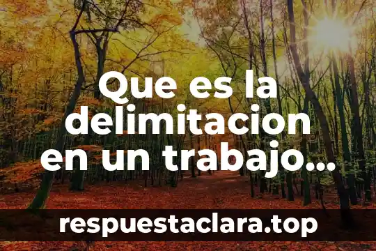 Que es la delimitacion en un trabajo de investigacion