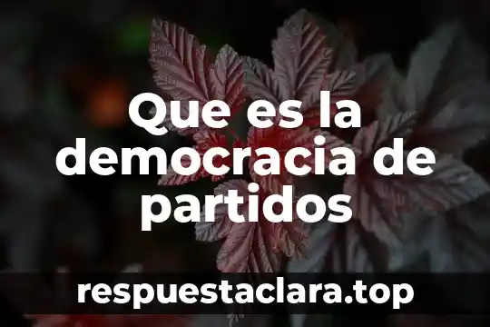 Que es la democracia de partidos