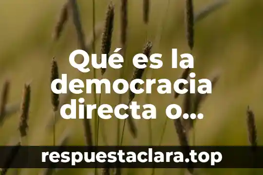 Que es el medio a 4 Qué es la democracia directa o representativa