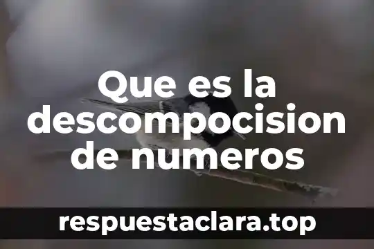 Para que es son los numeros binarios 7 Que es la descompocision de numeros