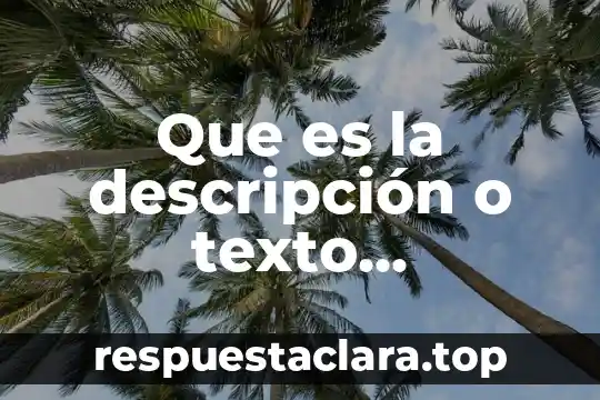 Para que es el seguro de fonacot 6 Que es la descripción o texto descriptivo