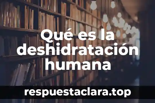 Que es endocaritis humana 4 Qué es la deshidratación humana