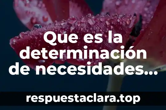 Que es la determinación de necesidades de personal