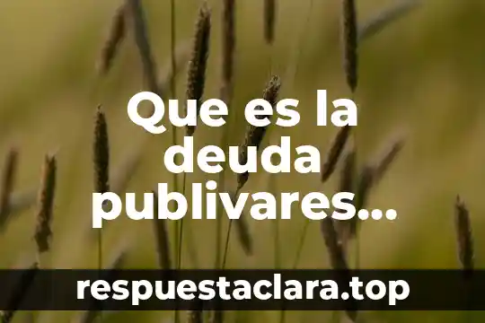 Qué es un gasto y deuda en economía 3 Que es la deuda publivares publicos y privados