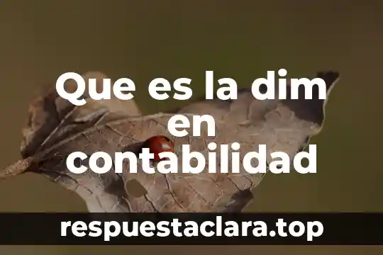 Que es el presupuesto maestro en contabilidad 7 Que es la dim en contabilidad