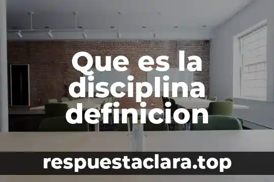 Que es la disciplina definicion