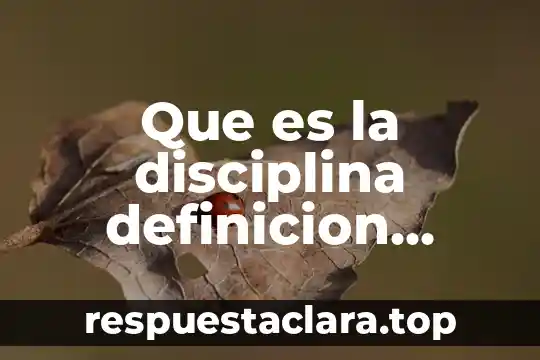 Qué es civismo y urbanidad definición 4 Que es la disciplina definicion completa