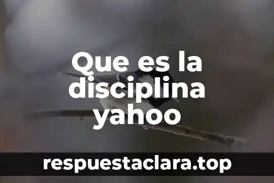 Que es sintaxis en arquitectura 7 Que es la disciplina yahoo