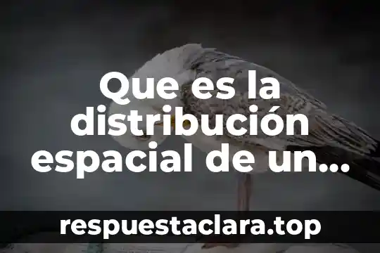 Que es la distribución espacial de un fenomeno grafico