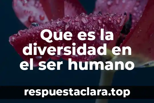 Que es ser congruente con el de 7 Que es la diversidad en el ser humano