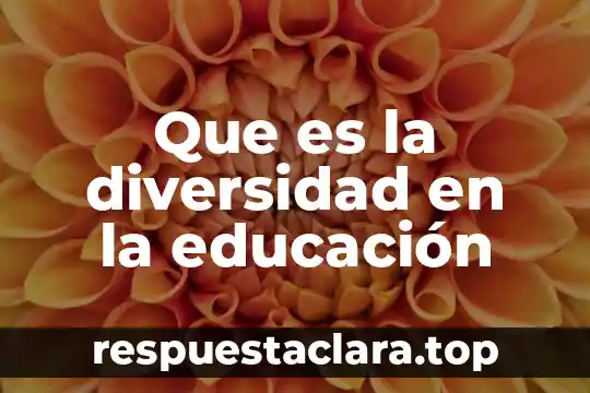 Que es la direccion general en educacion tecnologica industrial 4 Que es la diversidad en la educación