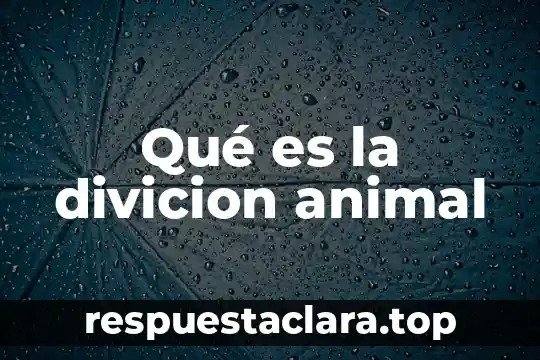 Que es el genotipo de un animal 5 Qué es la divicion animal