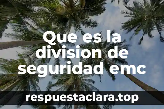 Que es la division de seguridad emc