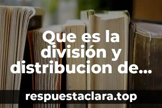 Que es la división y distribucion de trabajo