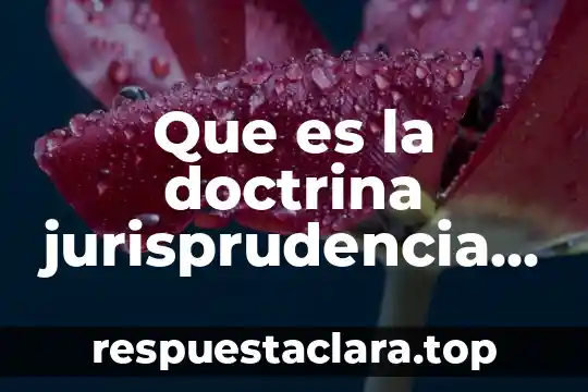 Que es la doctrina jurisprudencia en derecho