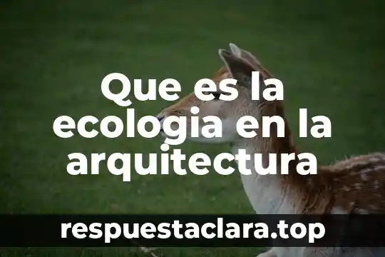 Que es la ecologia en la arquitectura