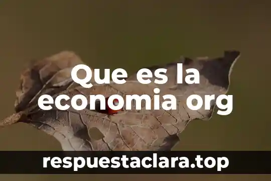 Que es la economia org