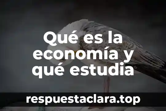 Qué es filosofía que estudia 5 Qué es la economía y qué estudia