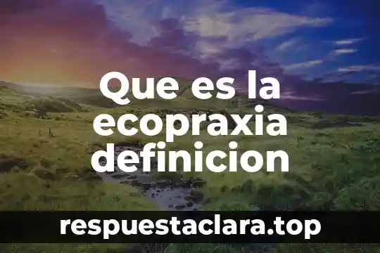 Que es una cuenca definición 4 Que es la ecopraxia definicion