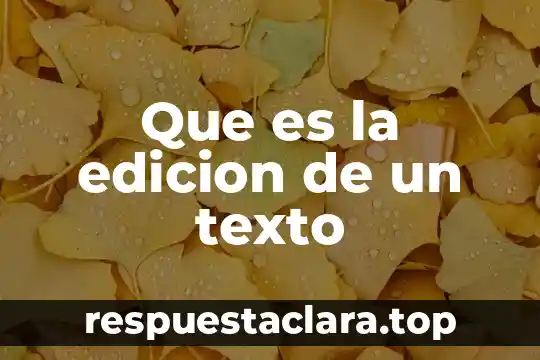 Que es la edicion de un texto
