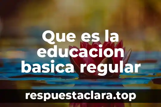Qué es un polígono regular y sus elementos 7 Que es la educacion basica regular