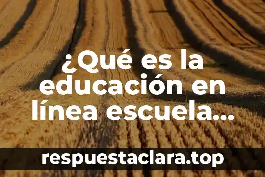 Qué es objeto virtual 3 ¿Qué es la educación en línea escuela virtual?