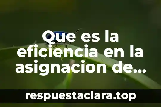 Que es la eficiencia en la asignacion de recursos