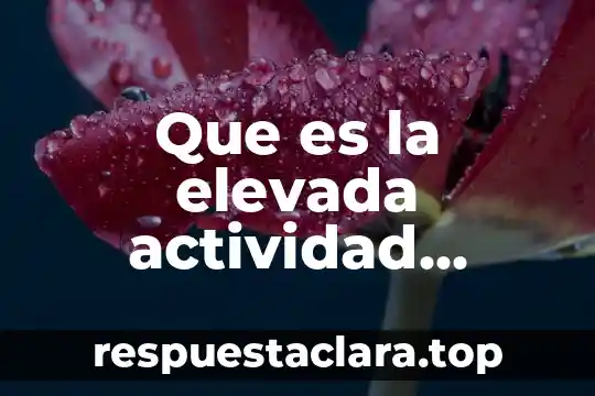 Que es la elevada actividad neuronal